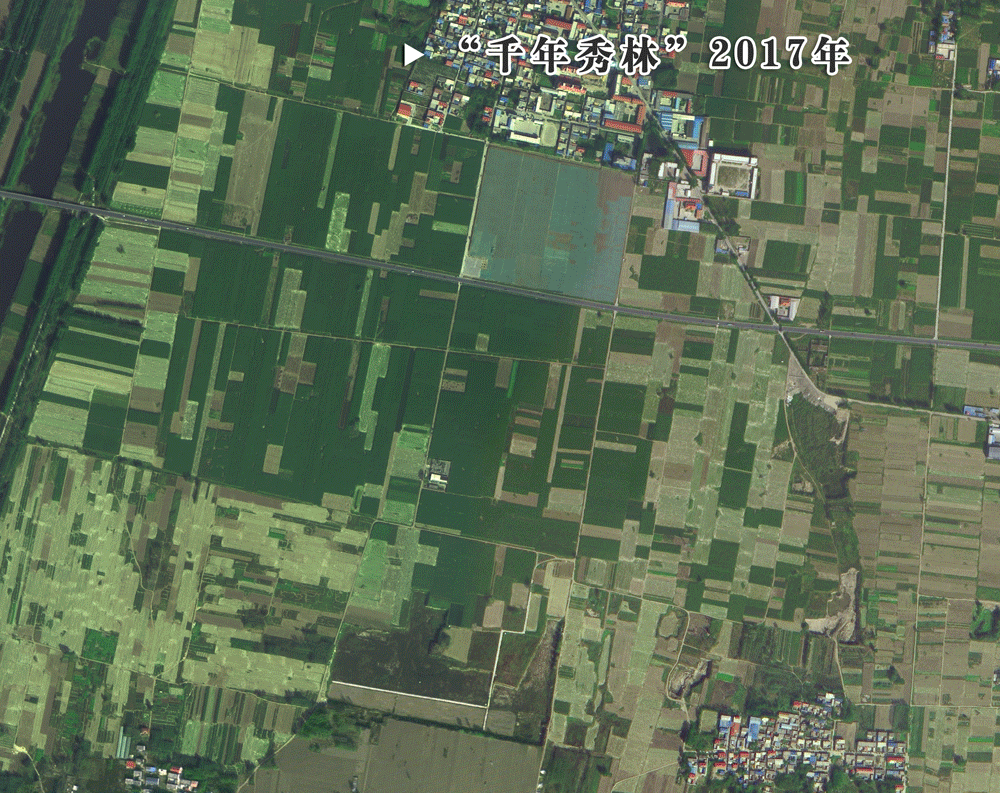 6b7eb9019305f229f1a1686335641288_1211625969_16485397135301n.gif 6b7eb9019305f229f1a1686335641288_1211625969_16485397135301n.gif