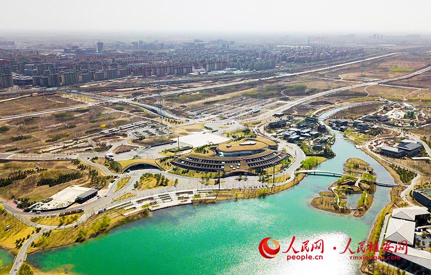 航拍雄安郊野公園。人民網(wǎng)宋燁文攝