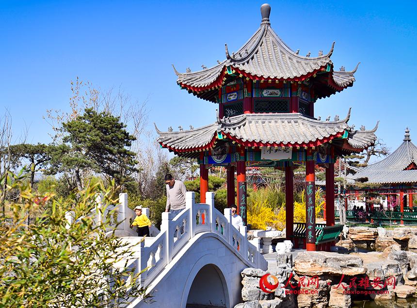 春天的雄安郊野公園，春和景明。人民網(wǎng)宋燁文攝