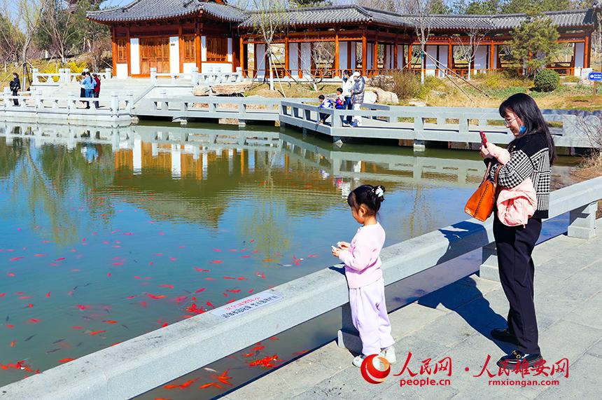 雄安悅?cè)莨珗@一角，不少家長(zhǎng)帶著孩子前來游玩。人民網(wǎng)宋燁文攝