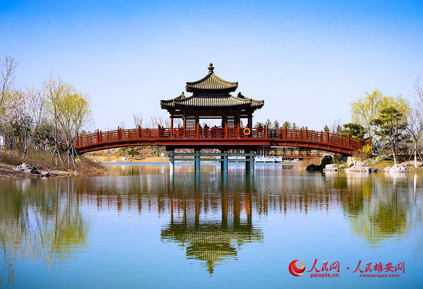 雄安悅?cè)莨珗@一角，微風(fēng)吹動(dòng)水面，泛起陣陣漣漪。人民網(wǎng)宋燁文攝