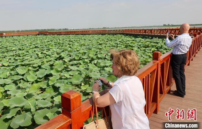 056bfc4c29f1e98815e62d56d7777de2_98874e02-d8f1-4c40-9c0c-10e212df213c_zsite.jpg 056bfc4c29f1e98815e62d56d7777de2_98874e02-d8f1-4c40-9c0c-10e212df213c_zsite.jpg