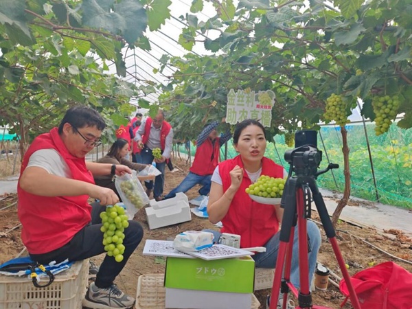 8f8a093be64d772a63eb028511ed5cb5_LOCAL1697420841202KI0NI46IT0.jpg 8f8a093be64d772a63eb028511ed5cb5_LOCAL1697420841202KI0NI46IT0.jpg