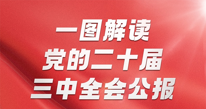 一圖解讀黨的二十屆三中全會(huì)公報(bào)